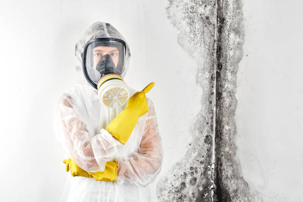 Mold Remediation for Rental Properties in Lexington, KY