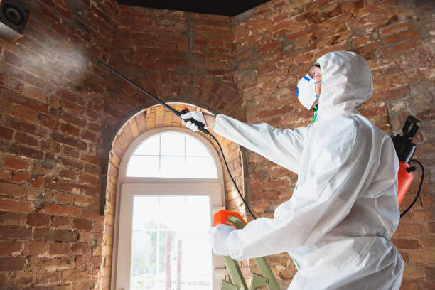 Best Biohazard Mold Removal  in Lexington, KY