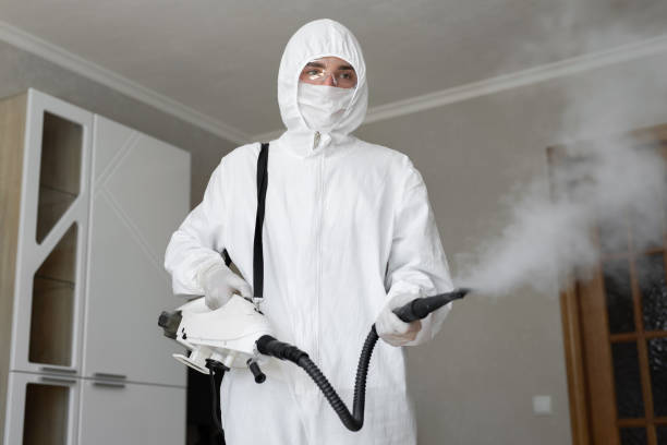 Best Mold Prevention Services  in Lexington, KY