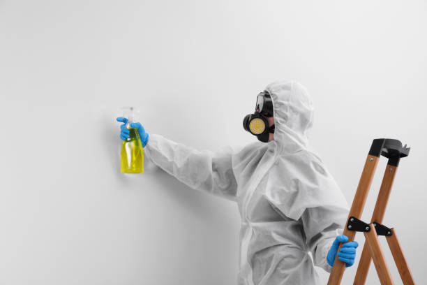 Best Mold Removal for HVAC Installations  in Lexington, KY